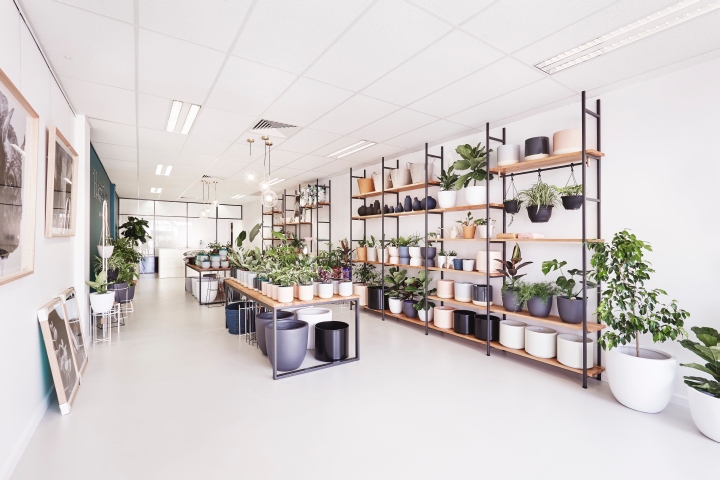 优质植物家居用品店铺装修设计效果图赏析