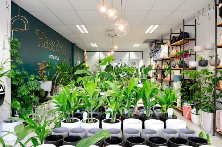 优质植物家居用品店铺装修设计效果图